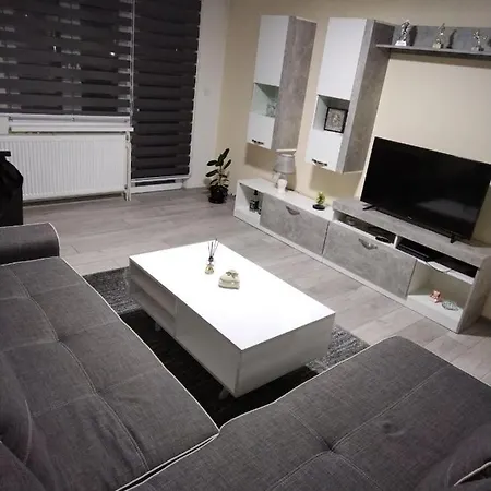 Apartman Kosarac شقة *