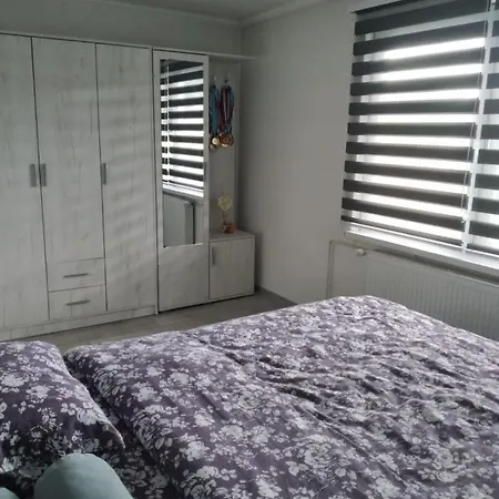 Apartman Kosarac *